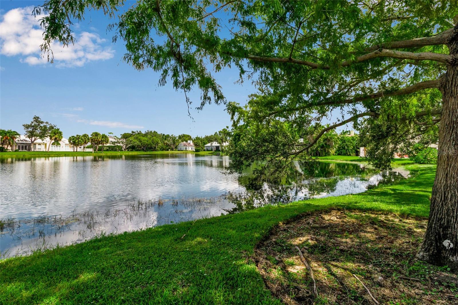 101 OSPREY POINT DR — photo 58