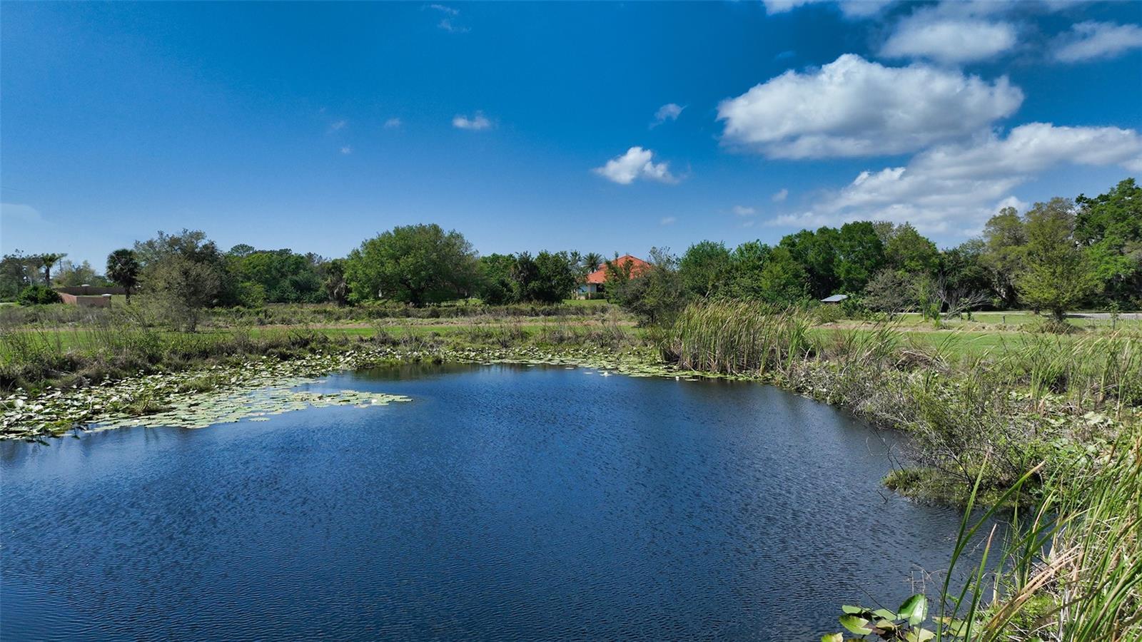 7025 CLARK RD — photo 15