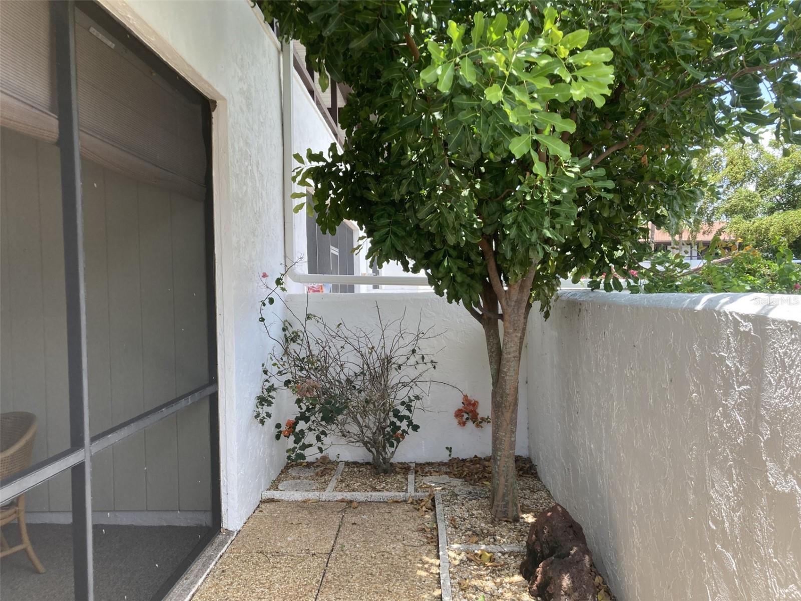 331 BARCELONA DR #331 — photo 3