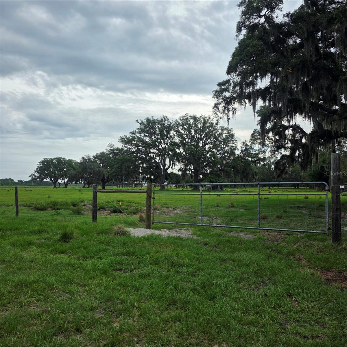 VERNON DAIRY — photo 6