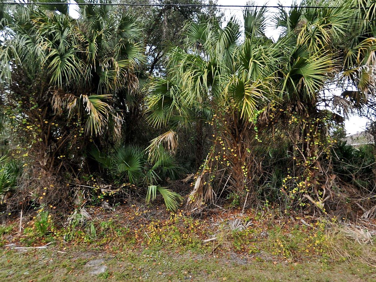 JULIA TER — photo 3