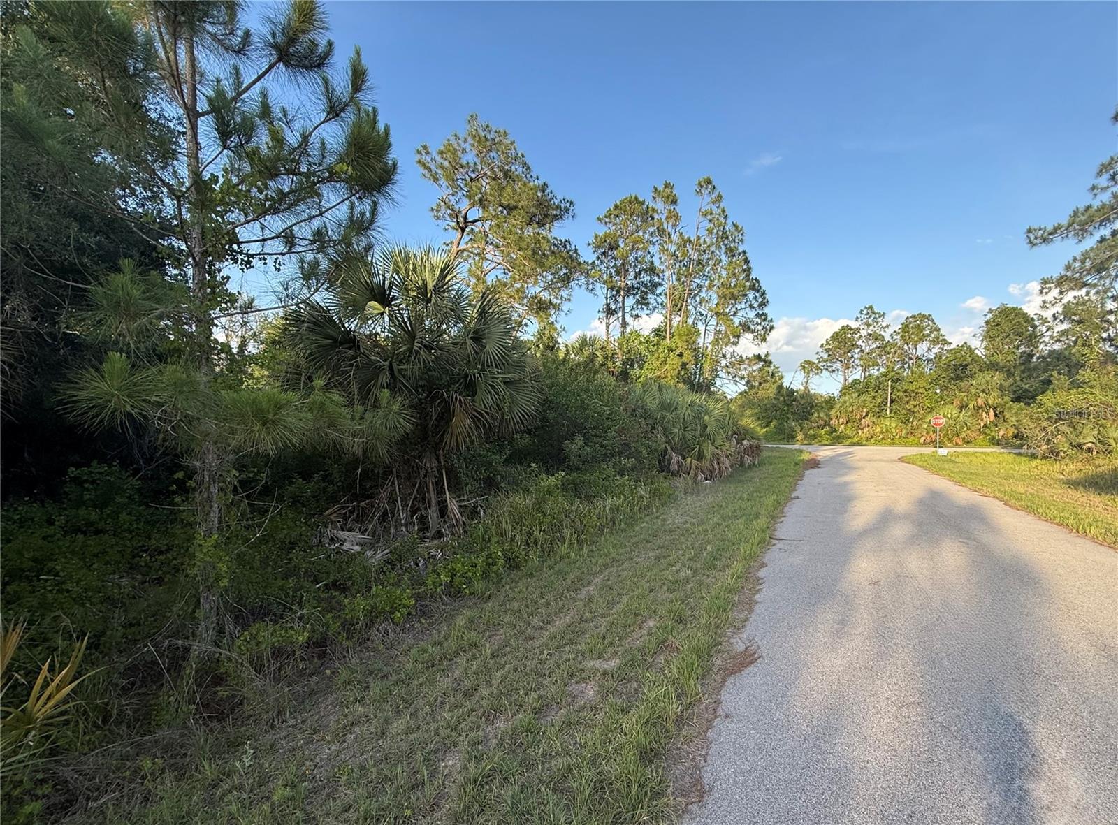 Lot 11 BARCELONA DR — photo 2