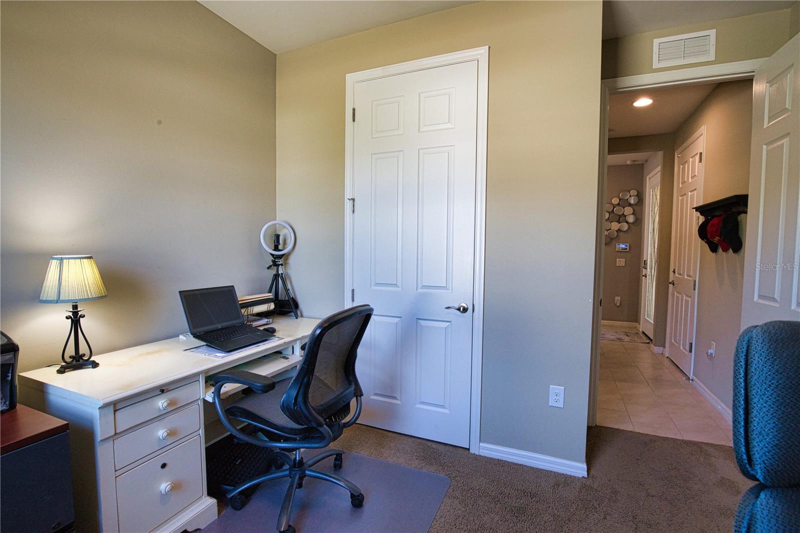 12064 BLAZING STAR DR — photo 23