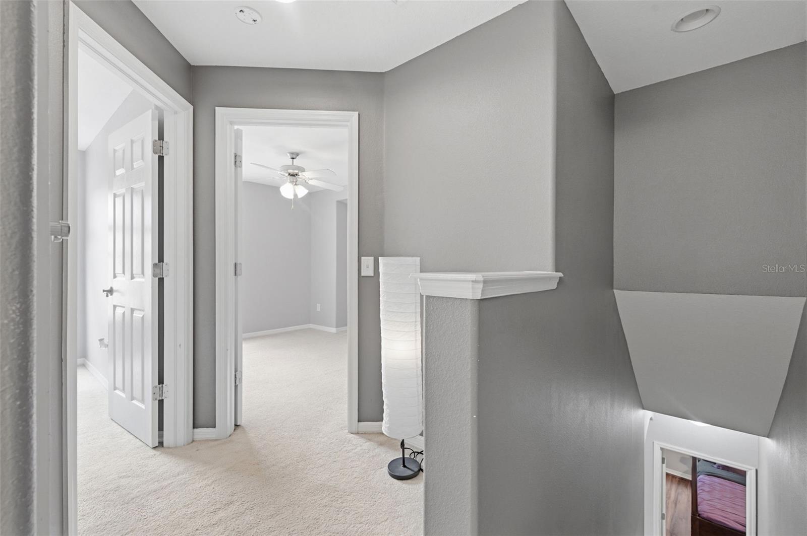 21347 MORNING MIST WAY — photo 28