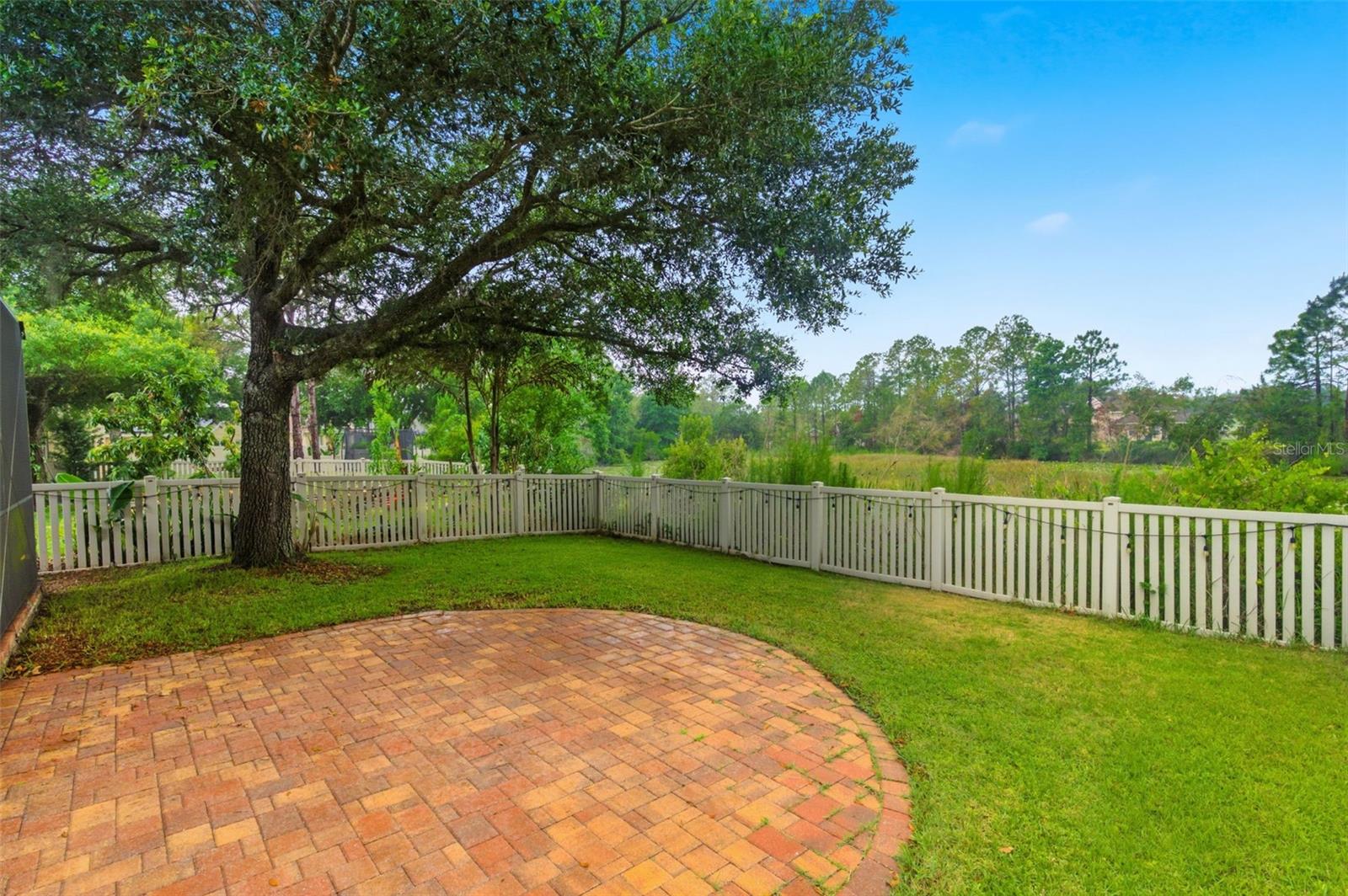 21347 MORNING MIST WAY — photo 3
