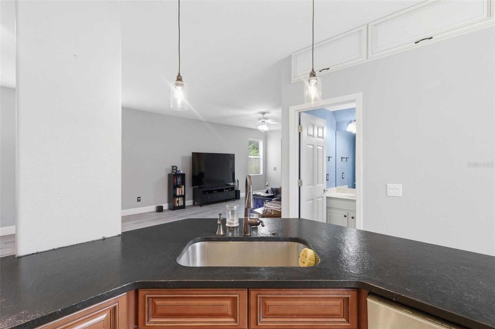 21347 MORNING MIST WAY — photo 16
