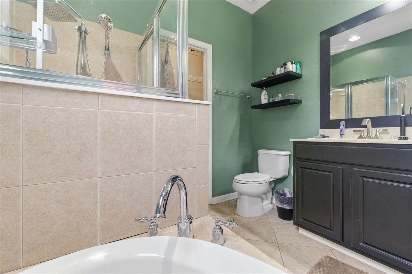 21347 MORNING MIST WAY — photo 27