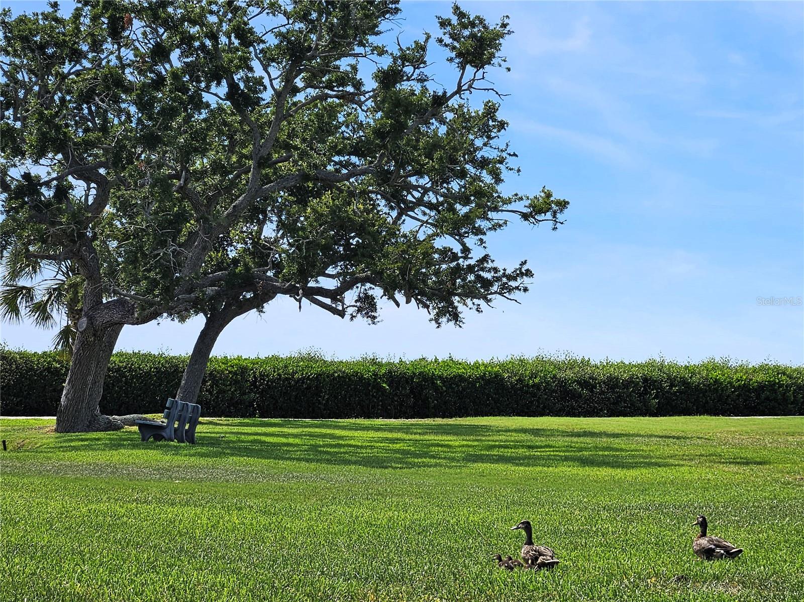 1800 MARINER DR #9 — photo 49