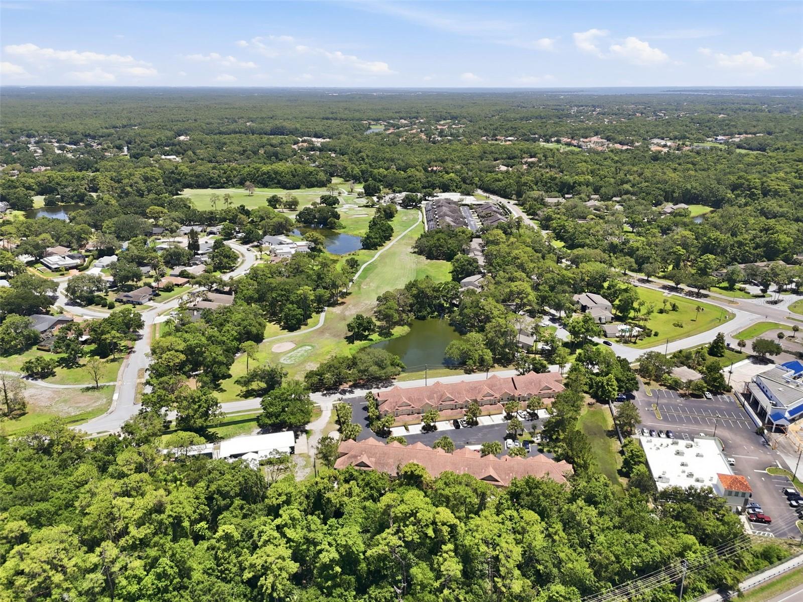 2656 TANGLEWOOD TRL — photo 47