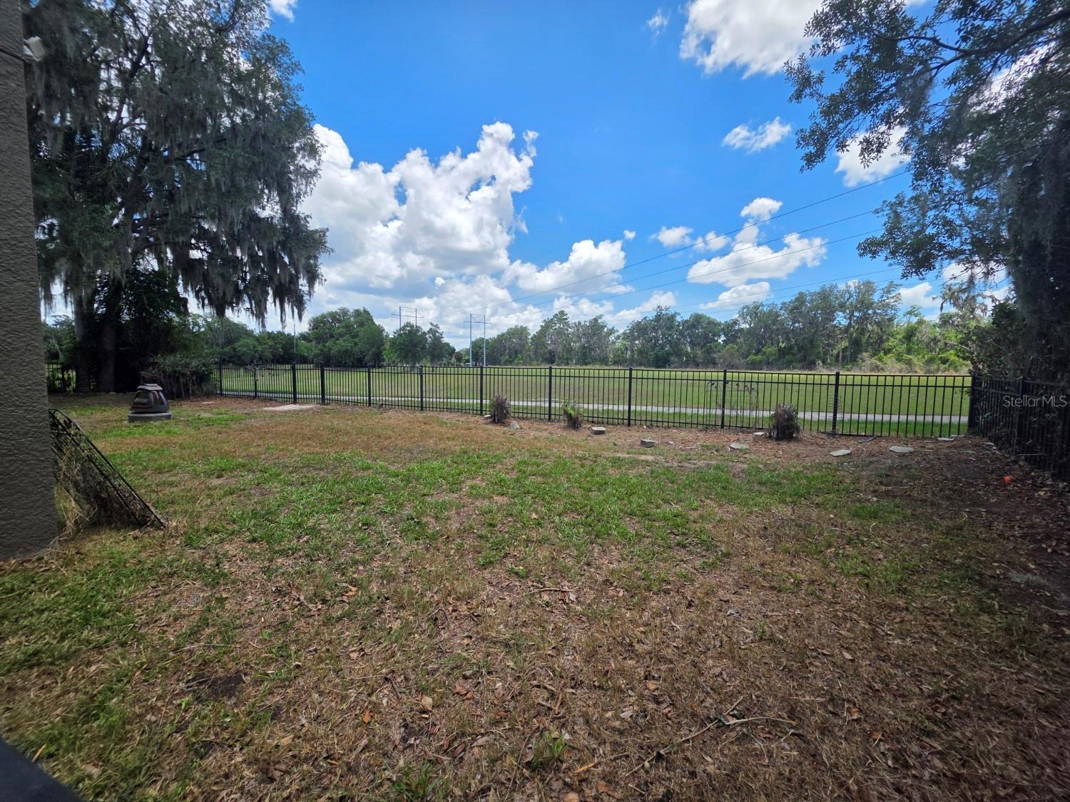 15723 STARLING WATER DR — photo 28