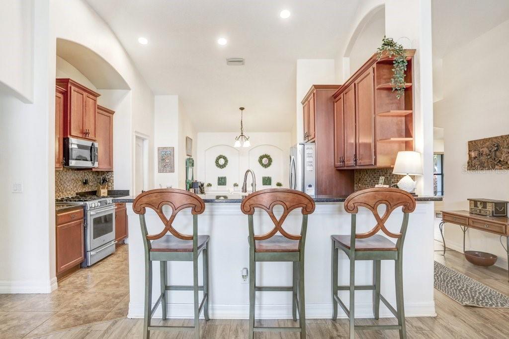 15723 STARLING WATER DR — photo 5