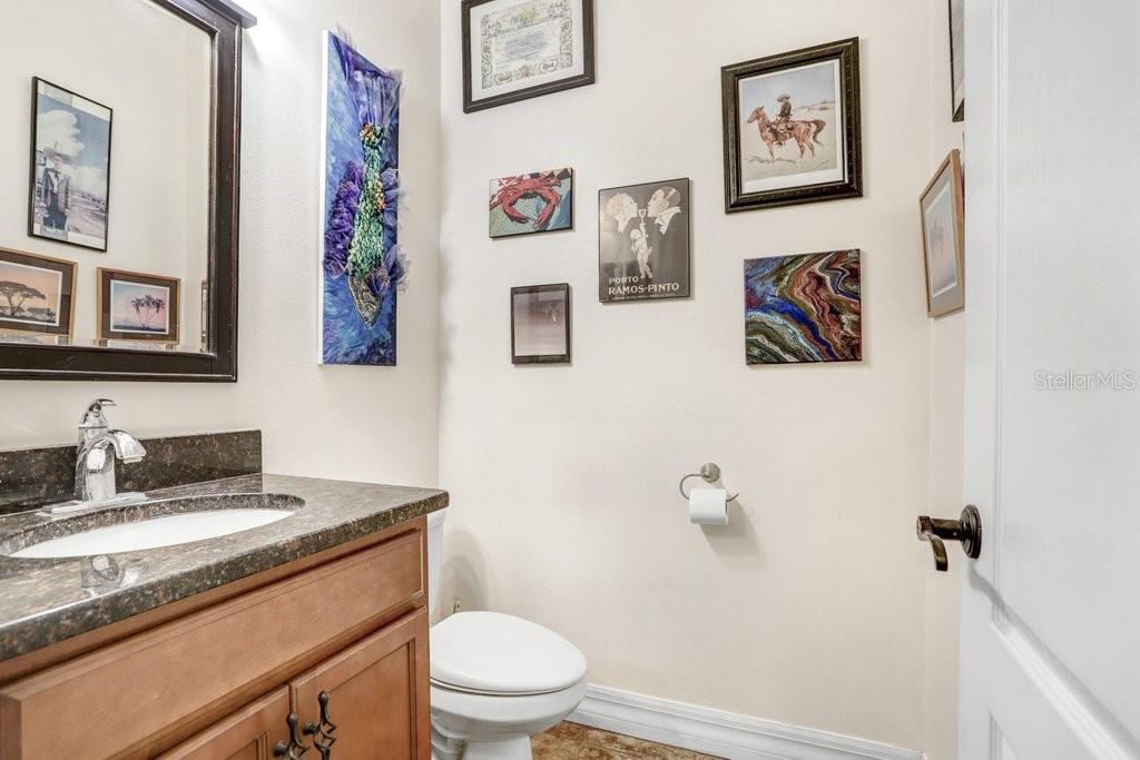 15723 STARLING WATER DR — photo 22