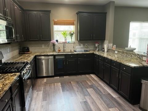 6528 CARRINGTON SKY DR — photo 3