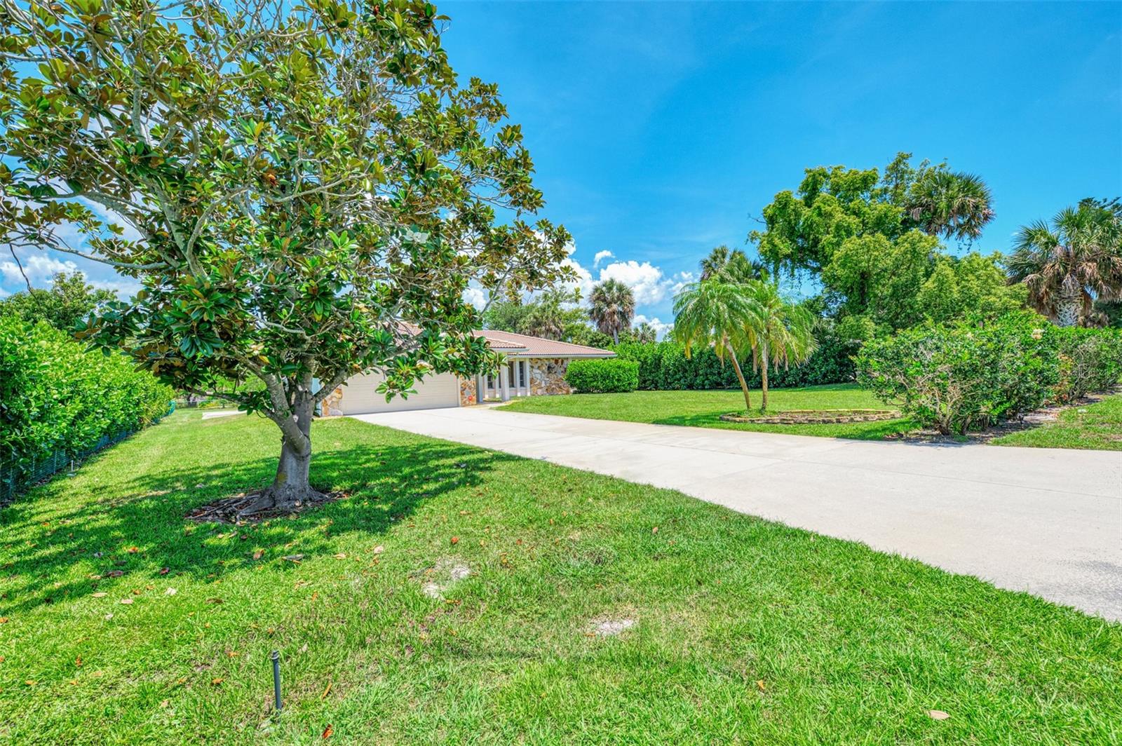 2340 PALMETTO ST — photo 4