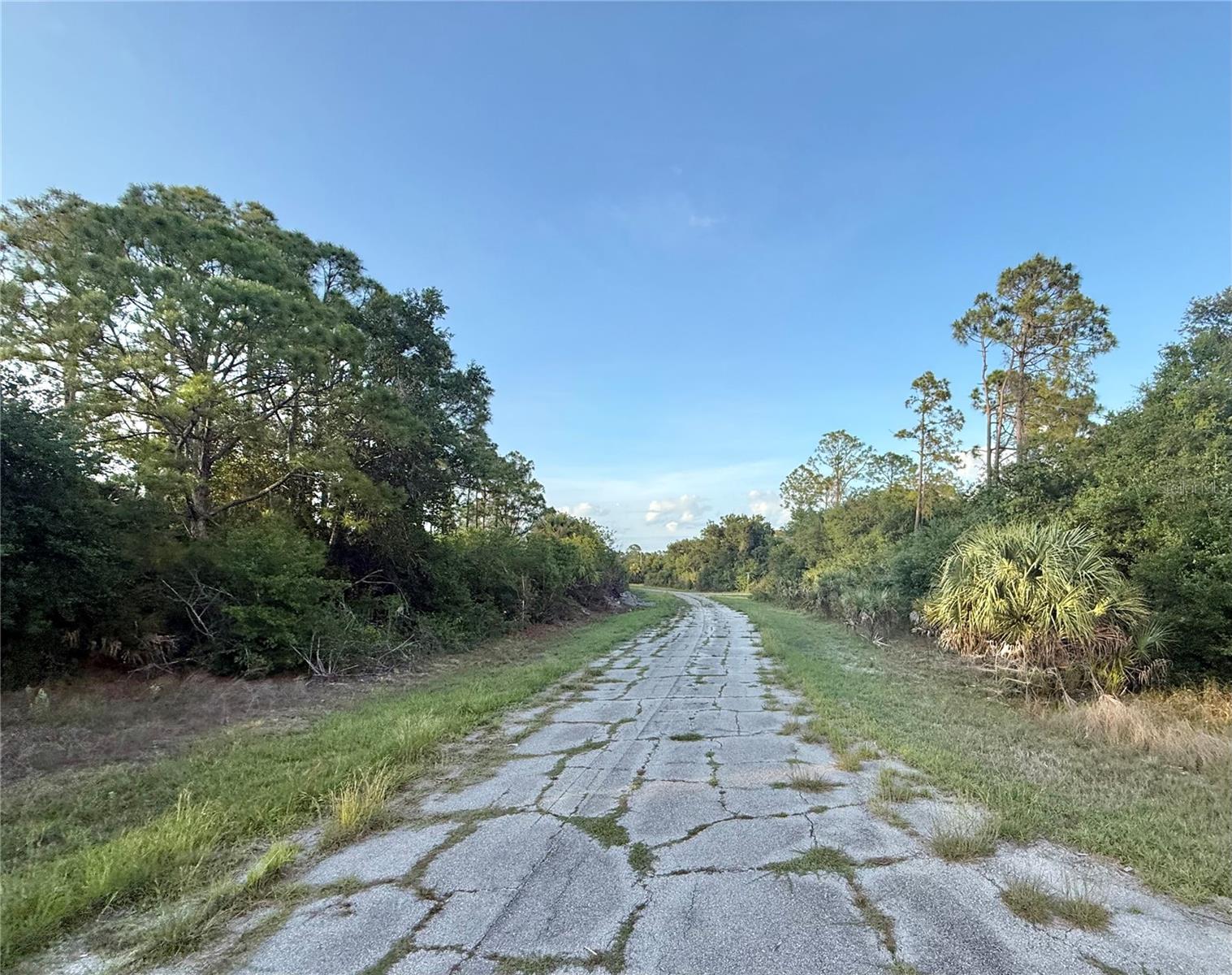 Lot 23 HINSHAW AVE — photo 3