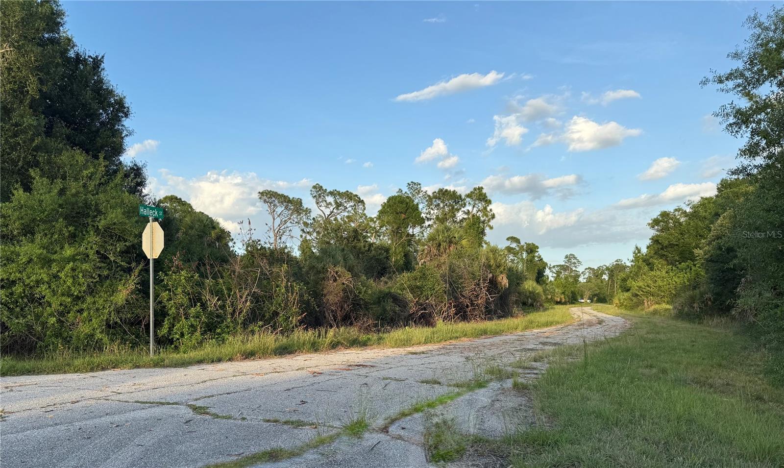 Lot 24 HINSHAW AVE — photo 5