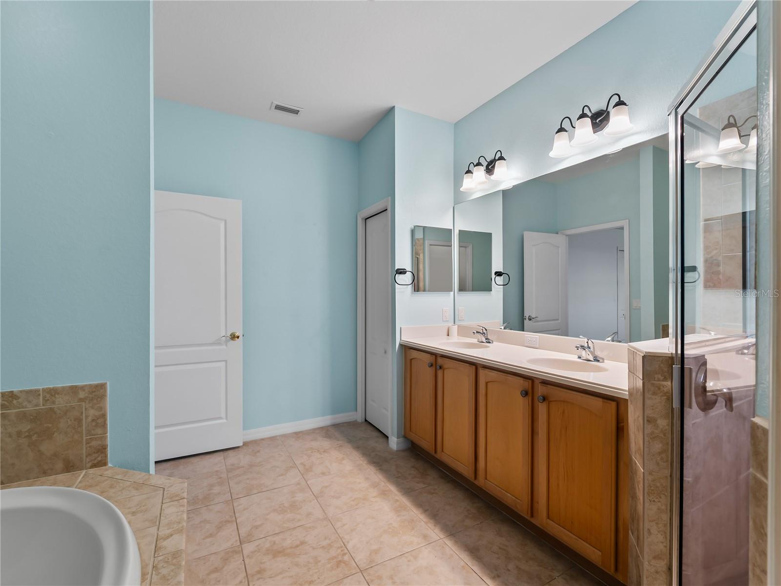 11631 DANCING RIVER DR — photo 36