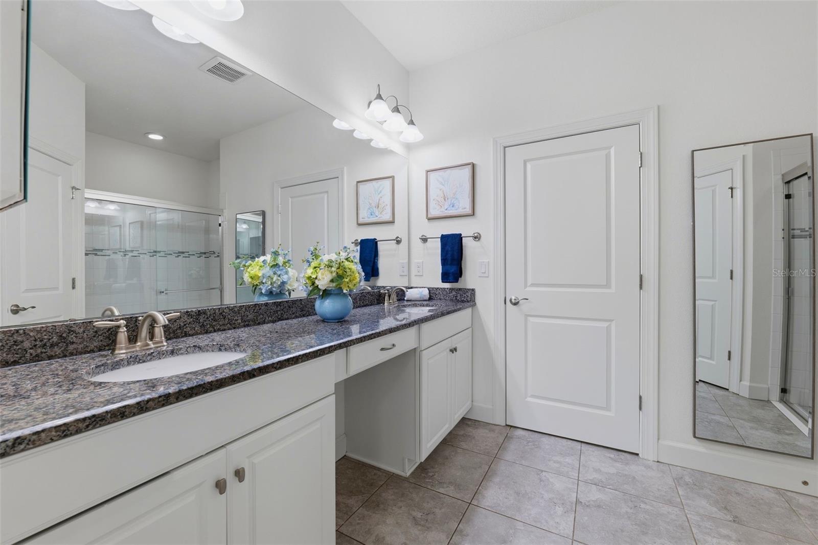 8412 ALBERATA VISTA DR — photo 8