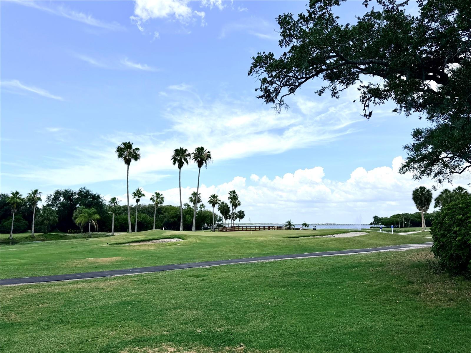 1000 COVE CAY DR #4D — photo 48