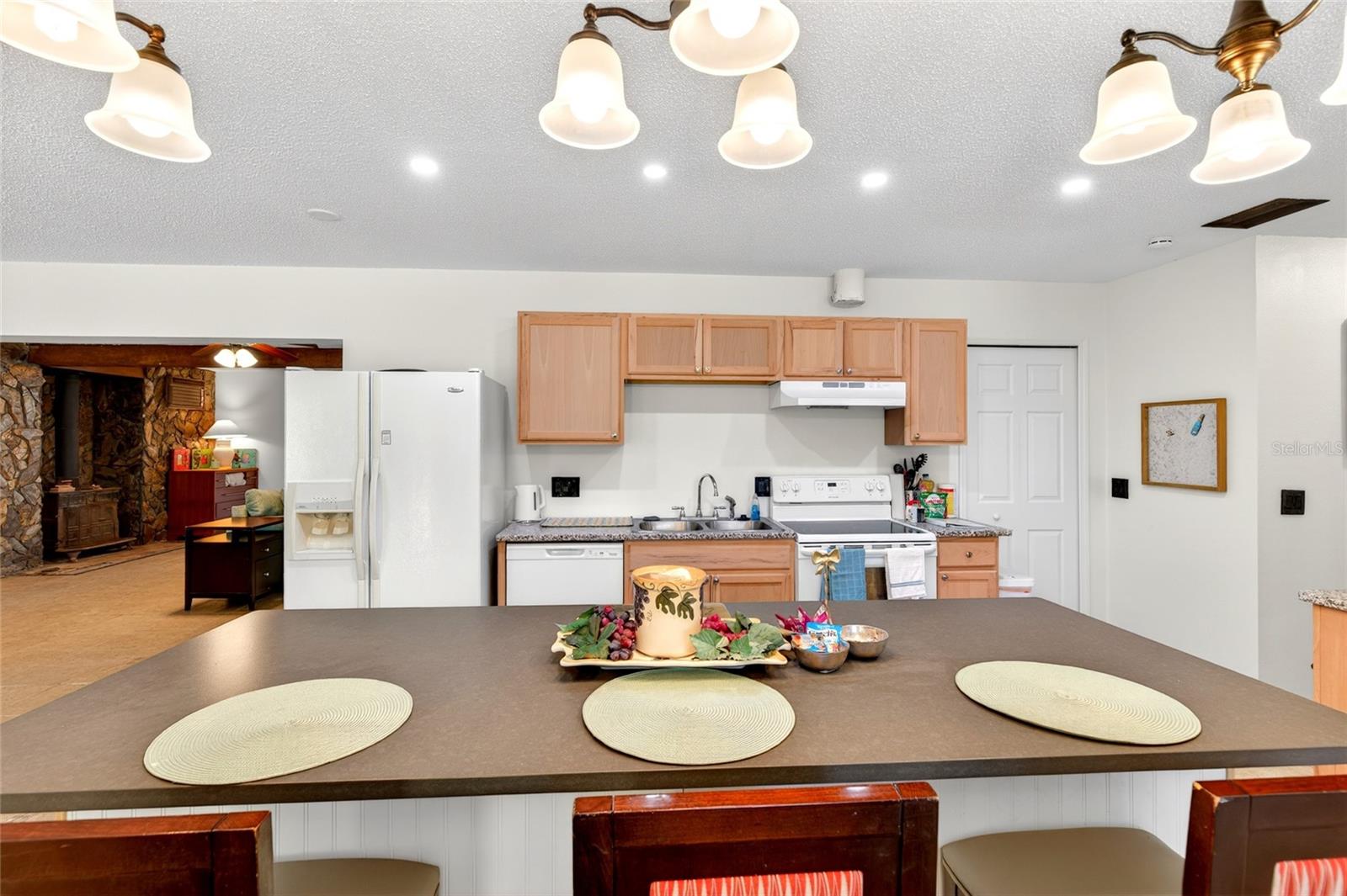16206 SEA PINES DR — photo 16