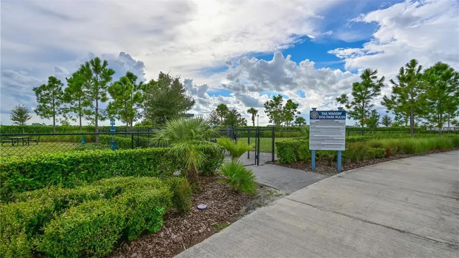 8294 GRANDE SHORES DR — photo 51