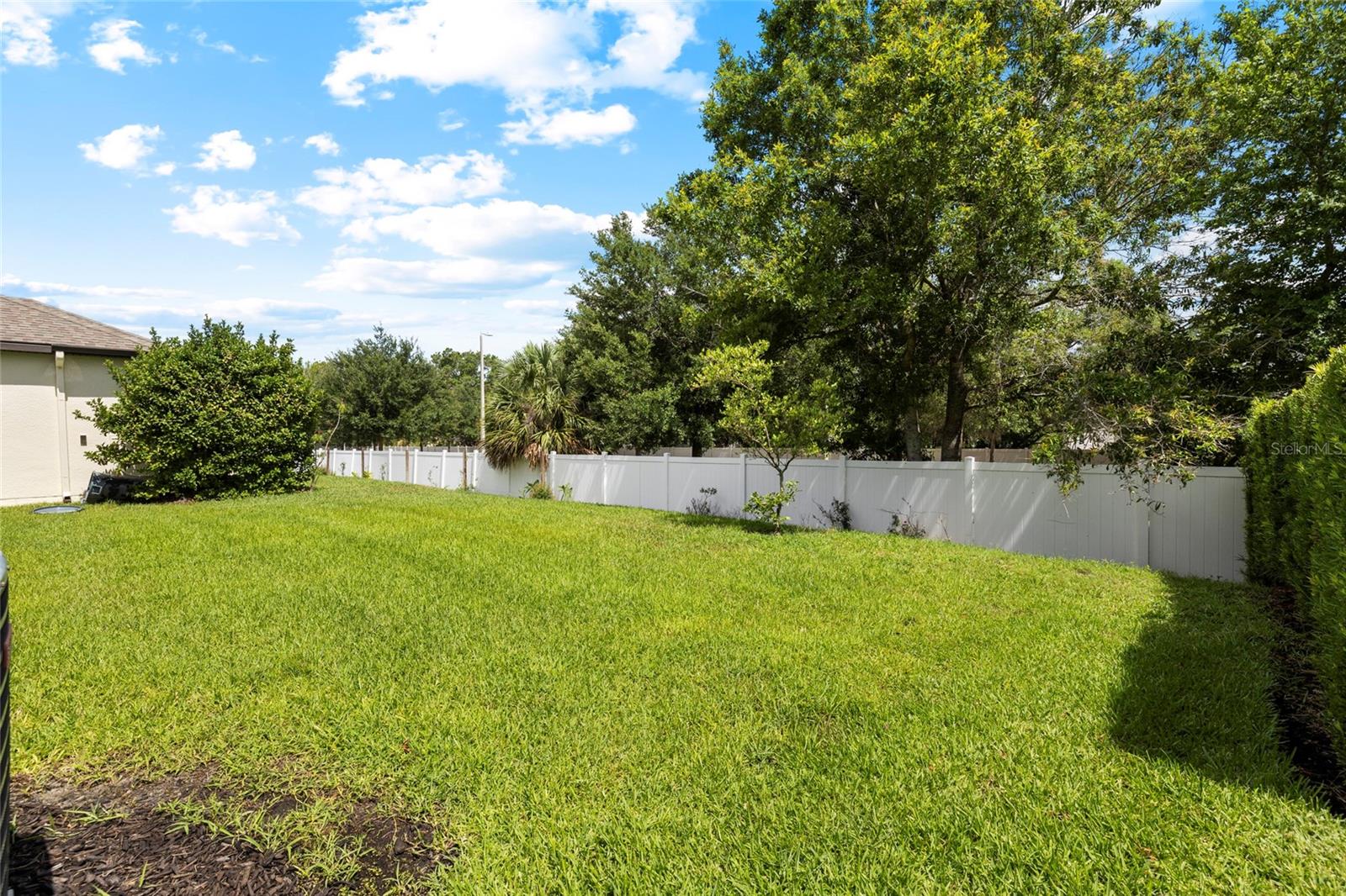11641 SWEET TANGERINE LN — photo 49