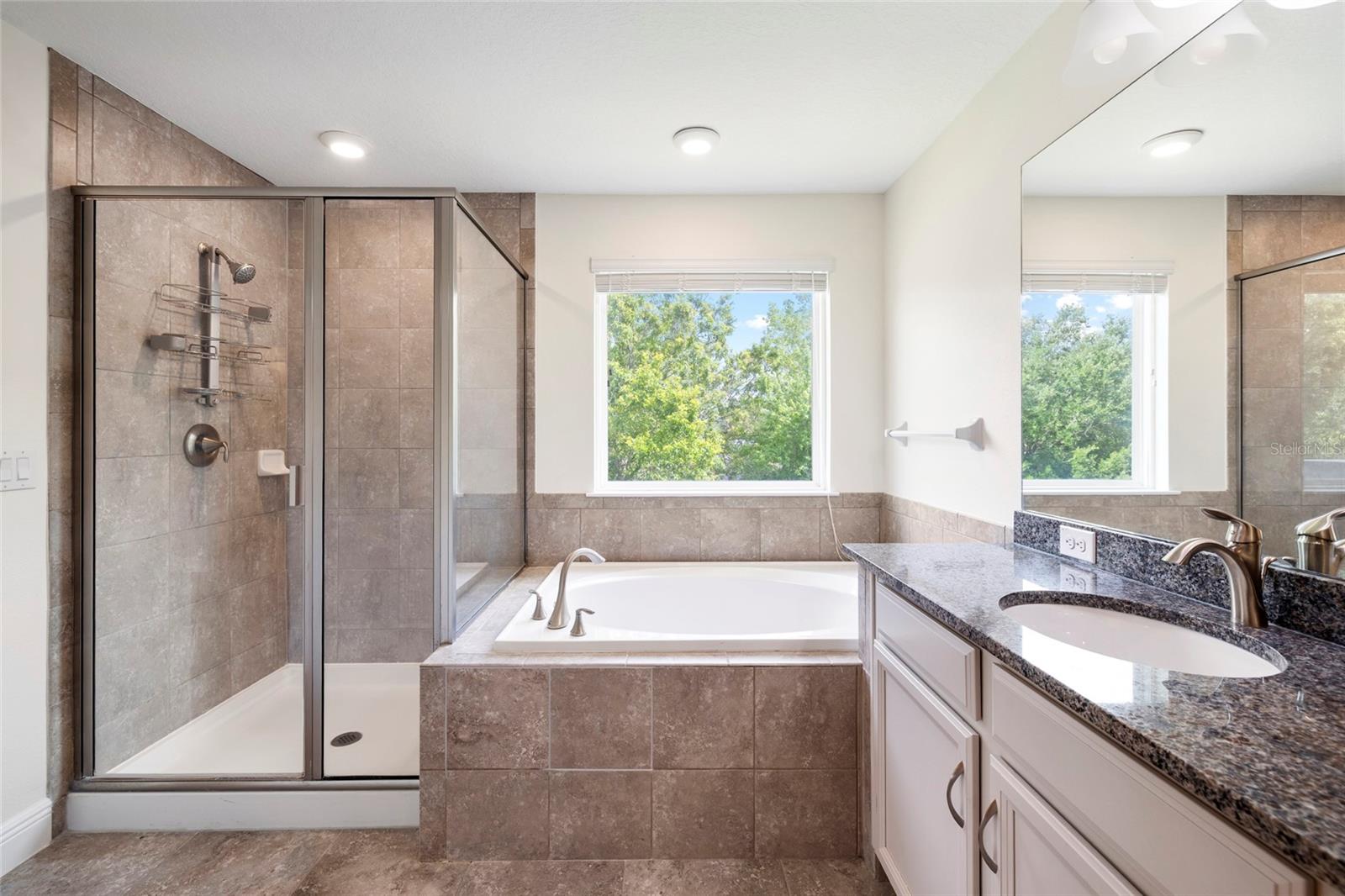 11641 SWEET TANGERINE LN — photo 33