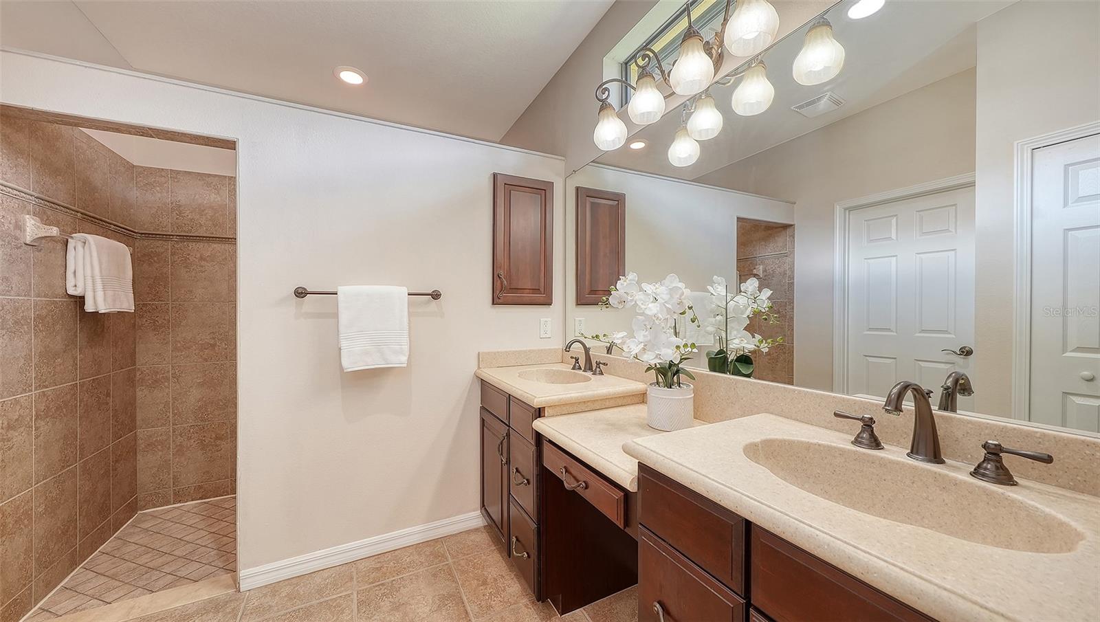 20541 CAPELLO DR — photo 21