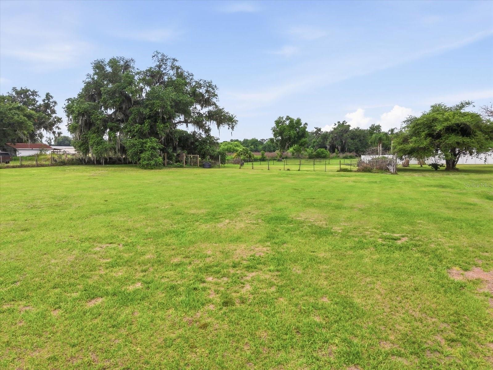 1113 COLSON RD — photo 25