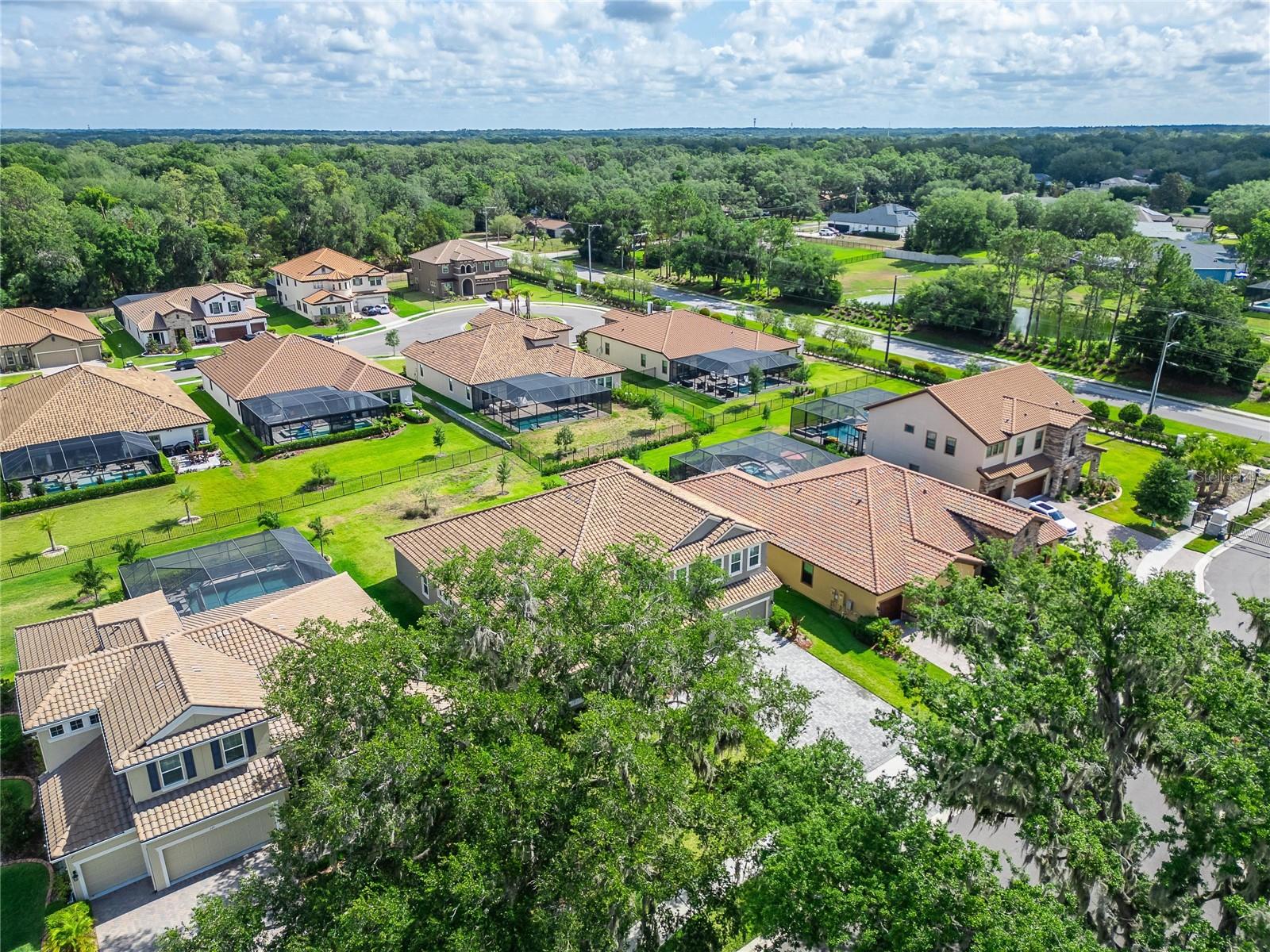 155 SABAL BREEZE CT — photo 94