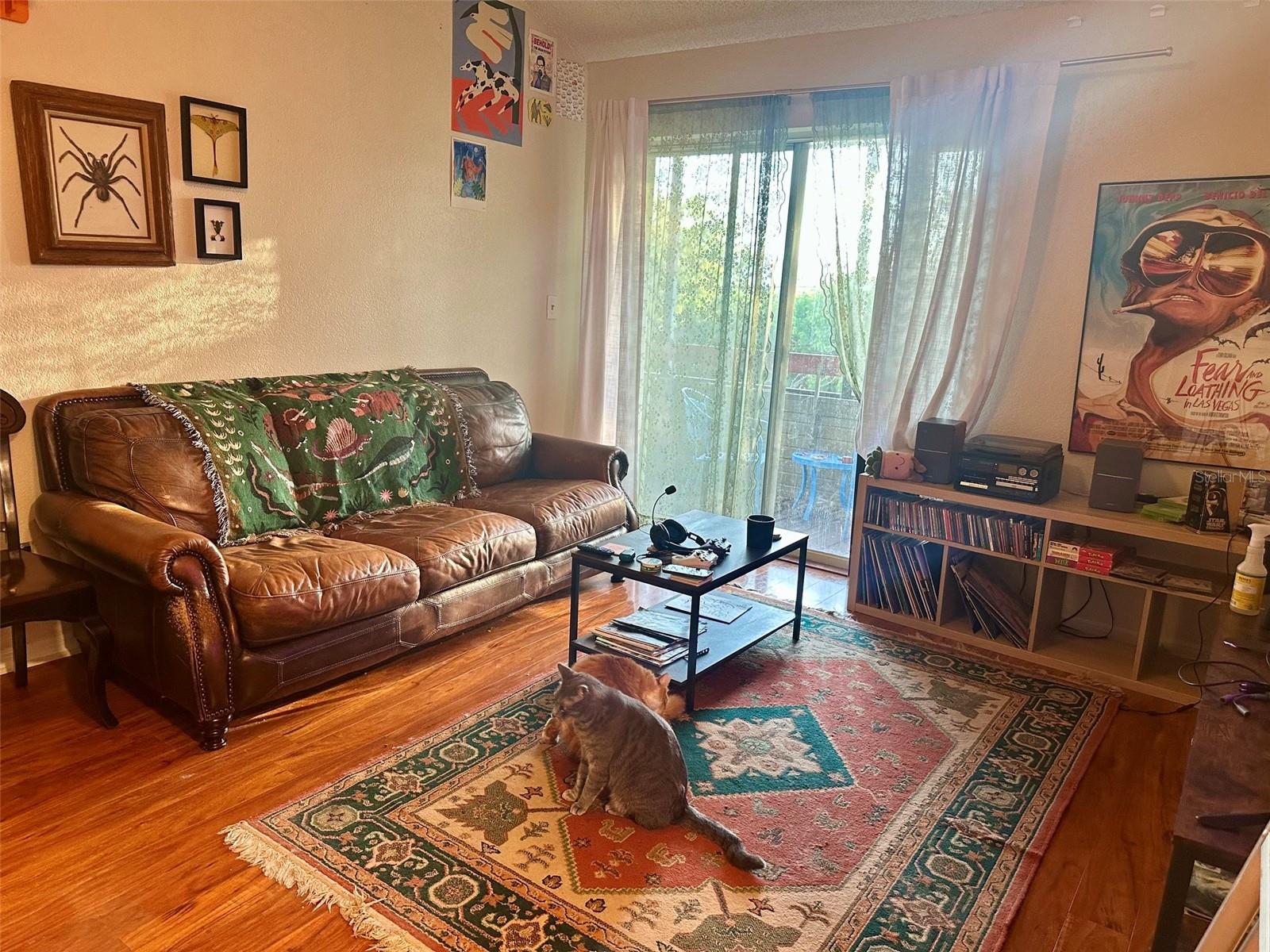 10263 GANDY BLVD N #2304 — photo 6