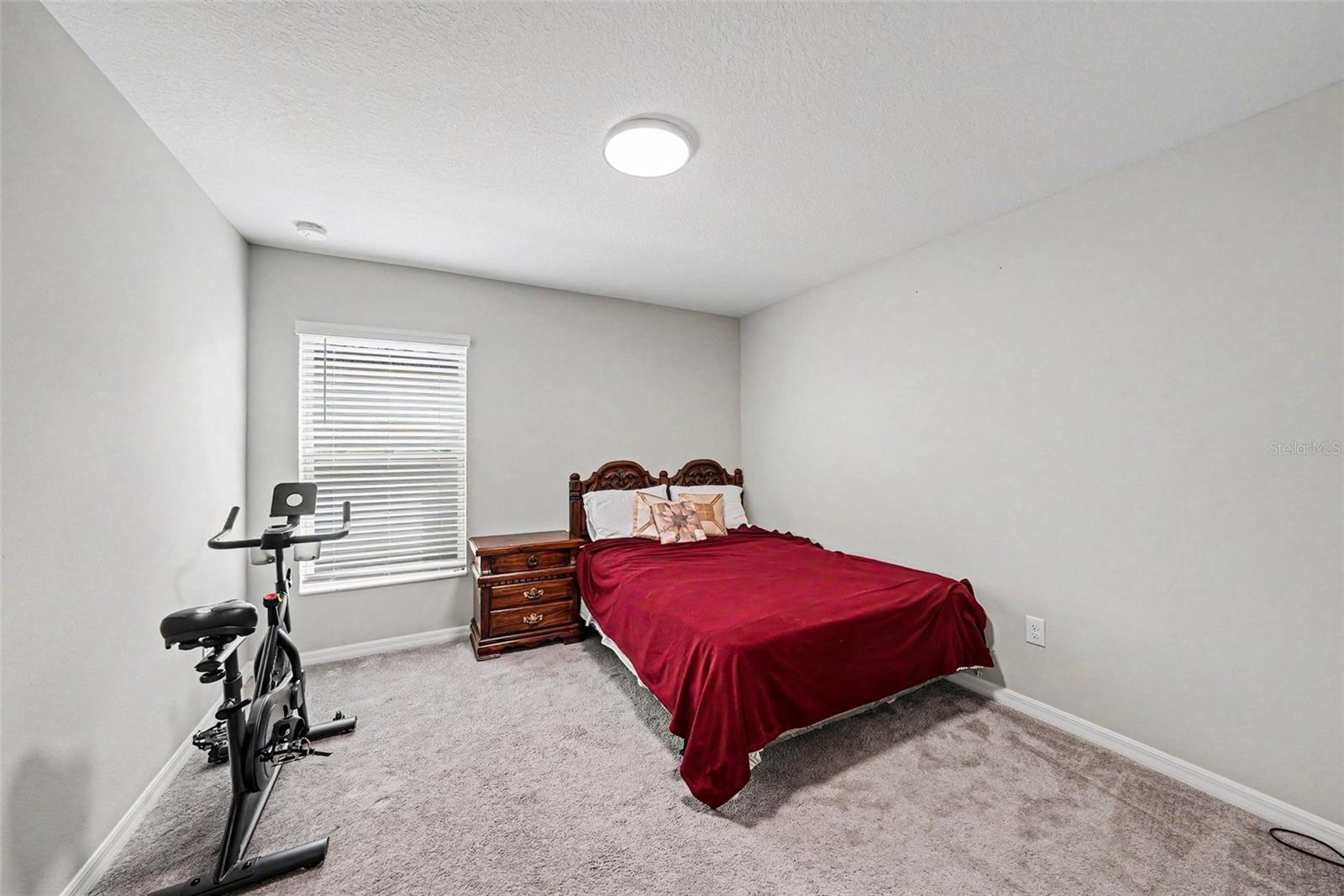 10829 CRUSHED GRAPE DR — photo 14