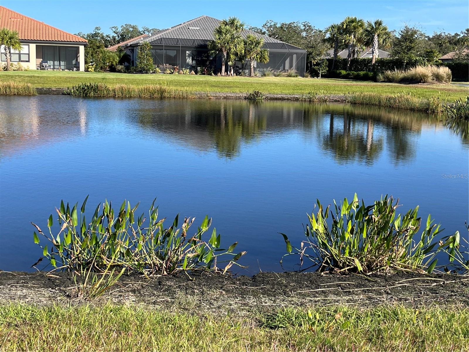 10433 MORNING MIST LN — photo 3