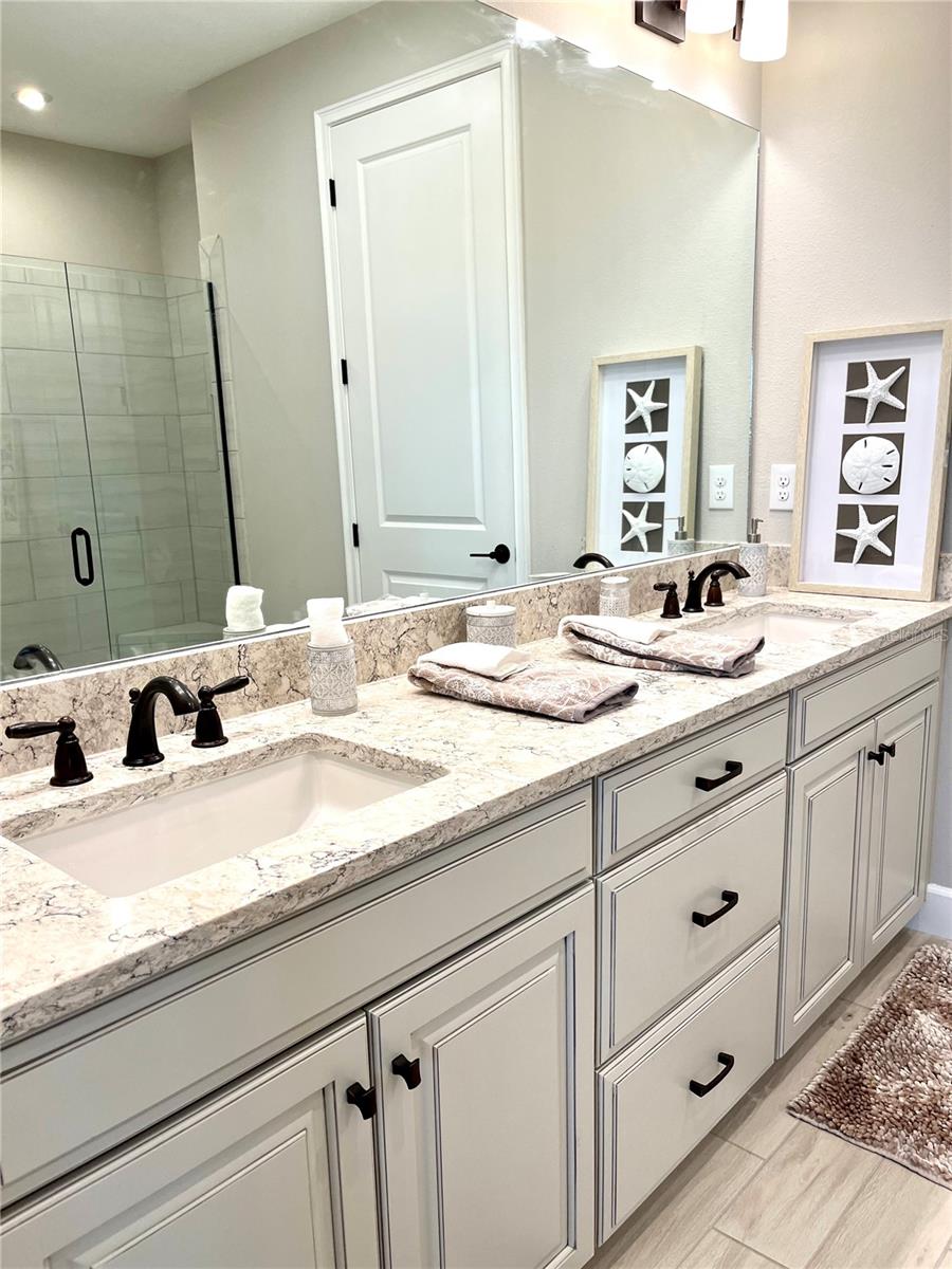 10433 MORNING MIST LN — photo 29