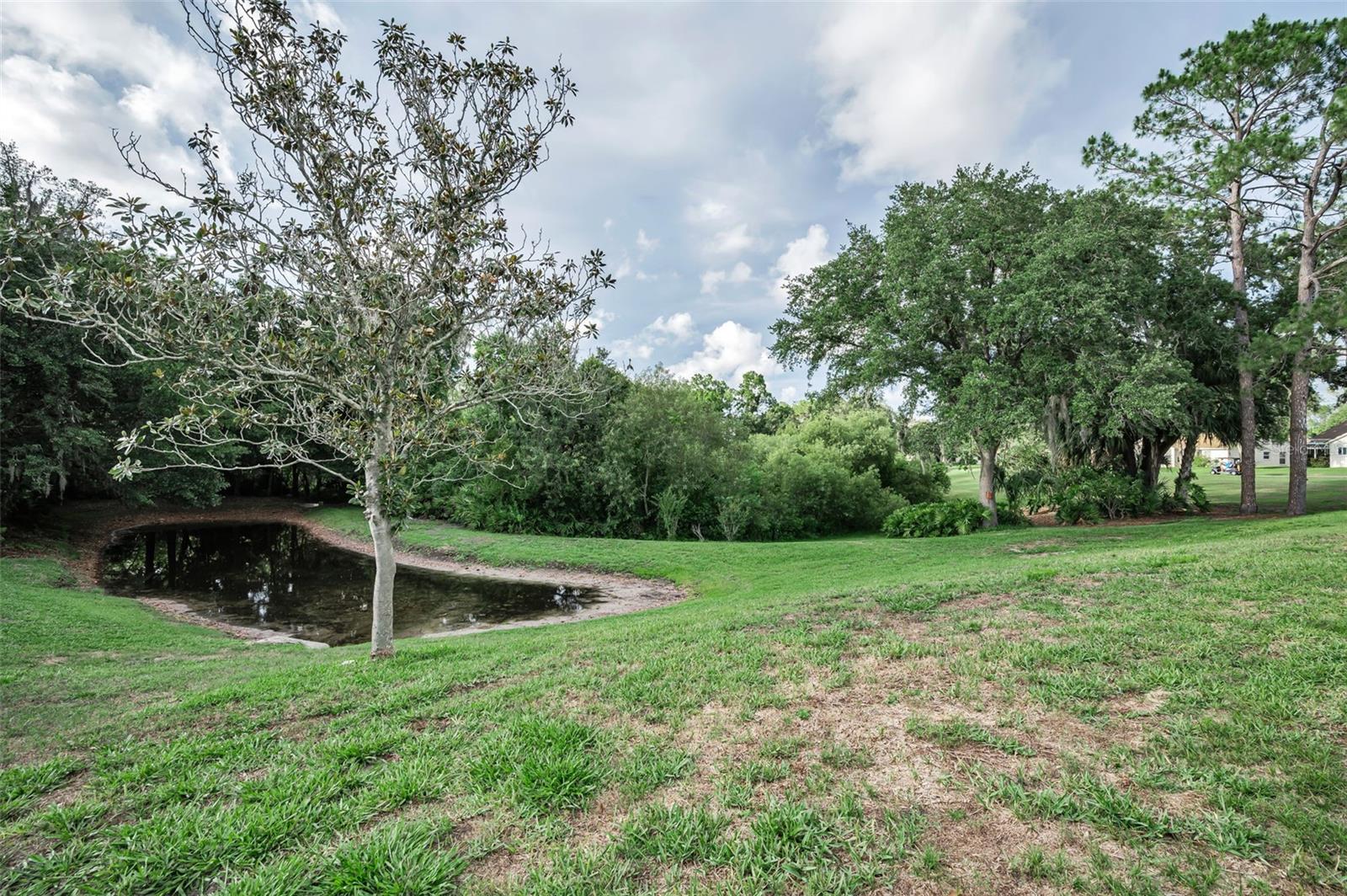 6240 FAIRSKIES DR — photo 50