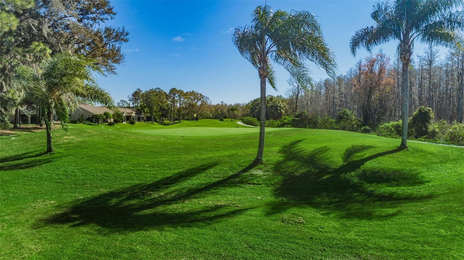 6240 FAIRSKIES DR — photo 92