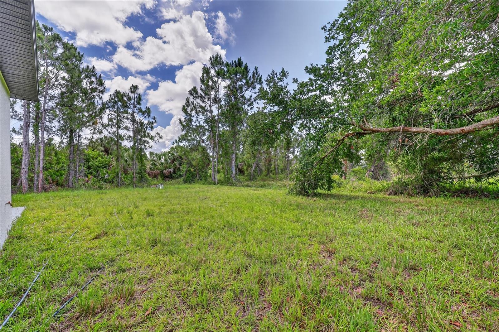 7841 SONTAG AVE — photo 41