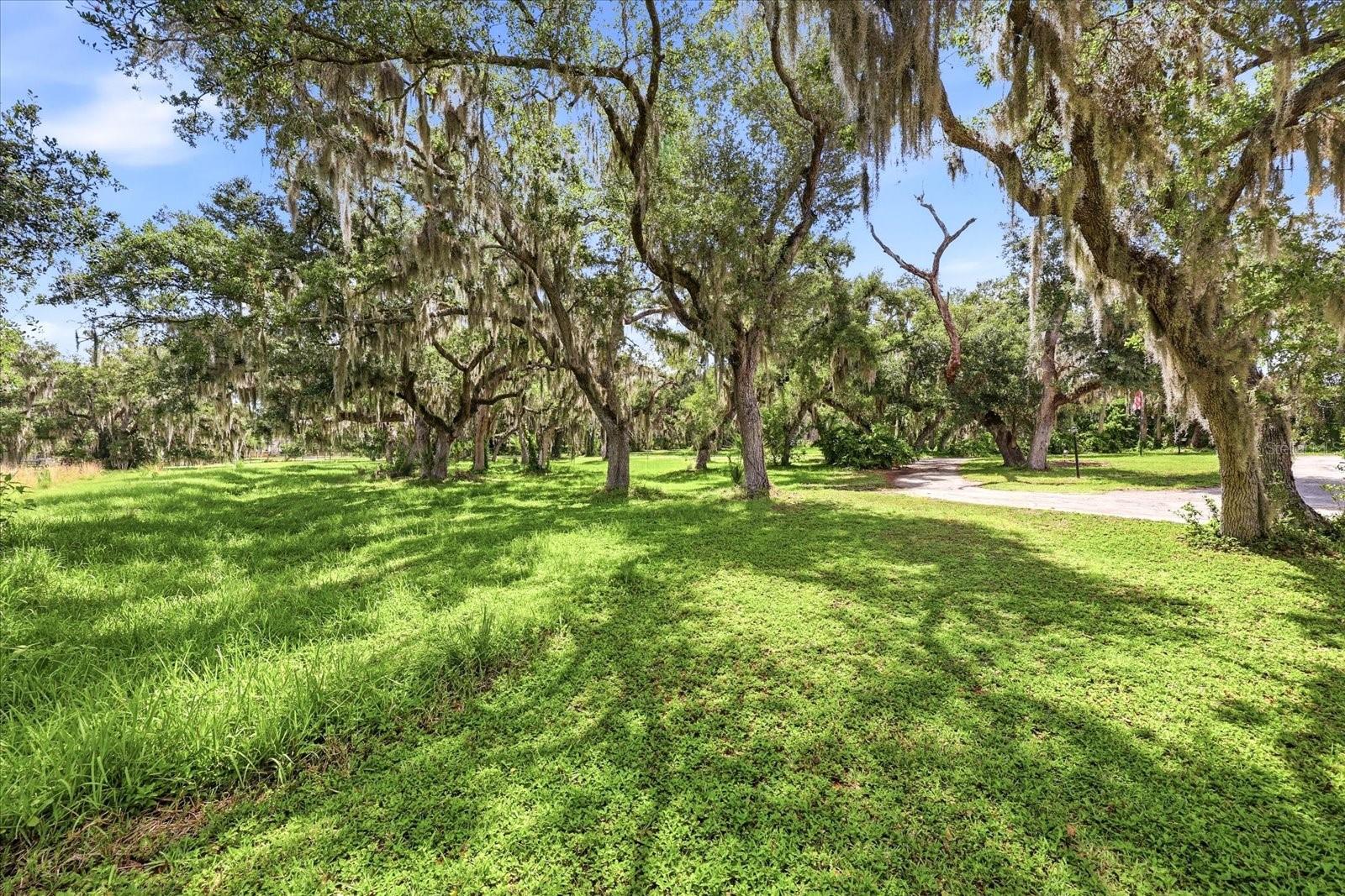 5850 VANDERIPE RD — photo 54