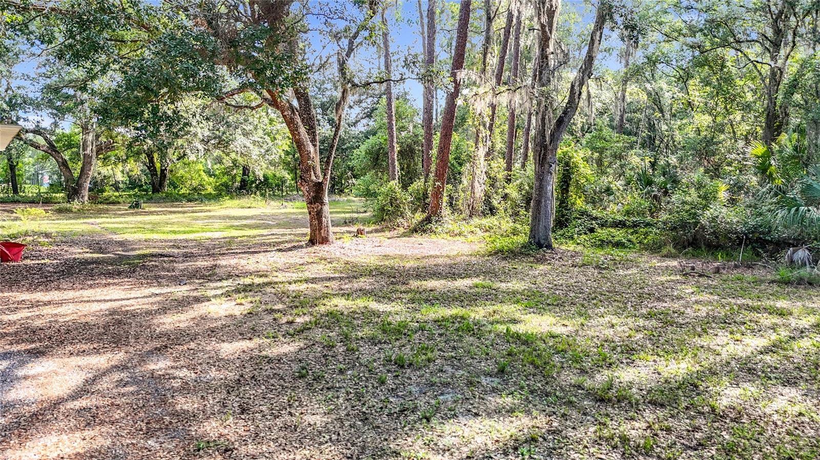 38625 COUNTY LINE RD — photo 10