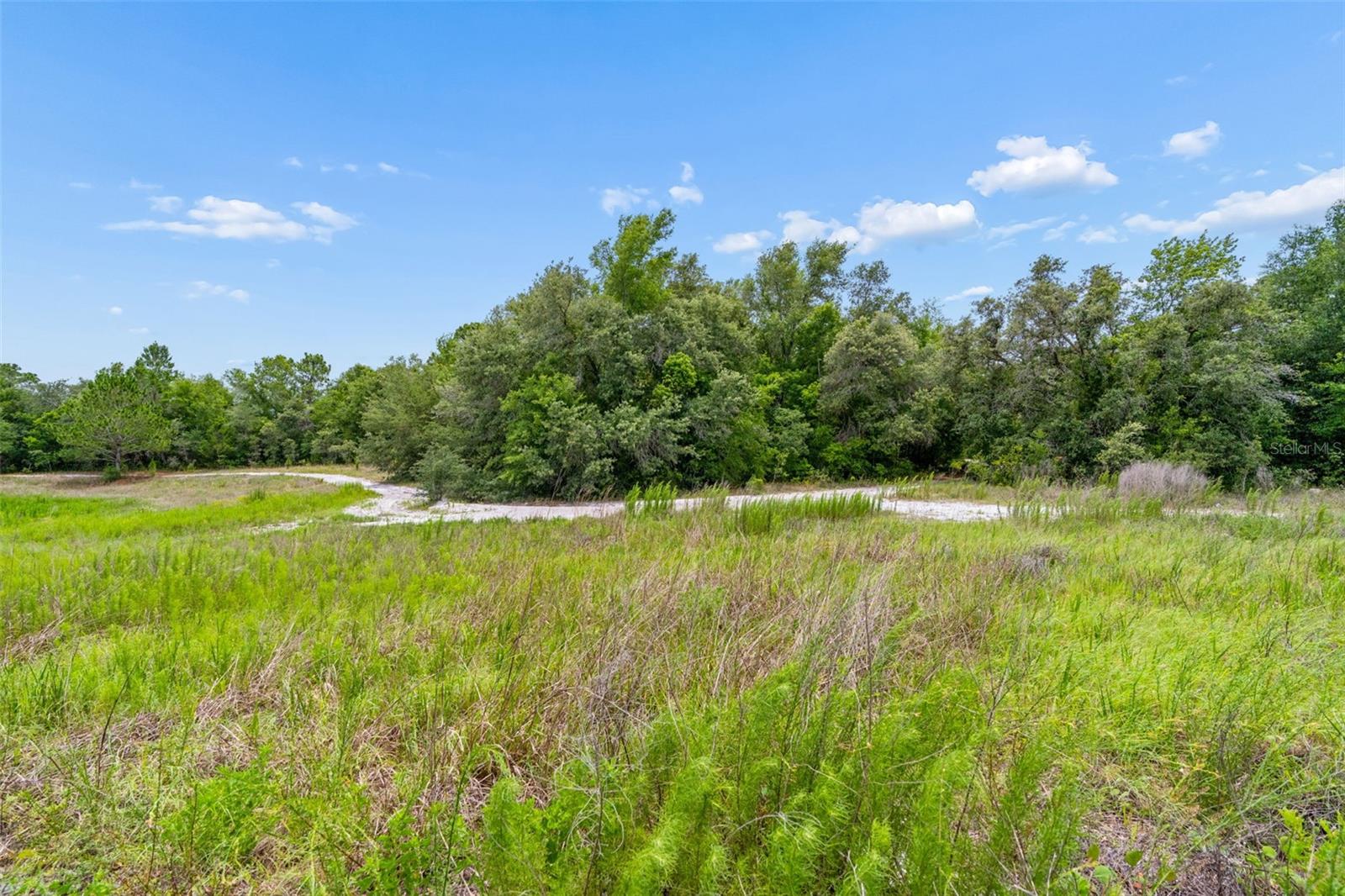 COUNTY LINE RD — photo 17
