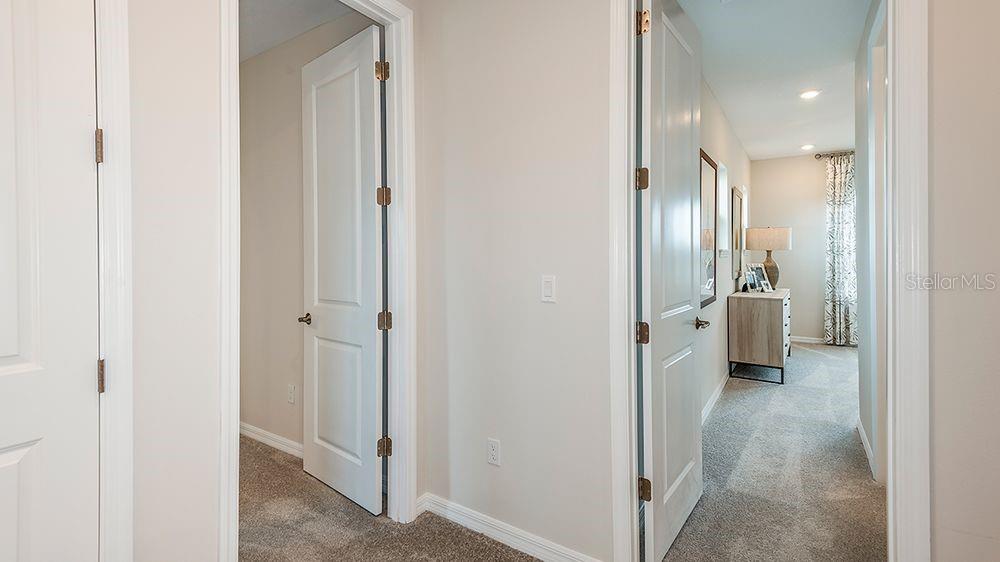 3444 LUMBER FALLS DR — photo 24
