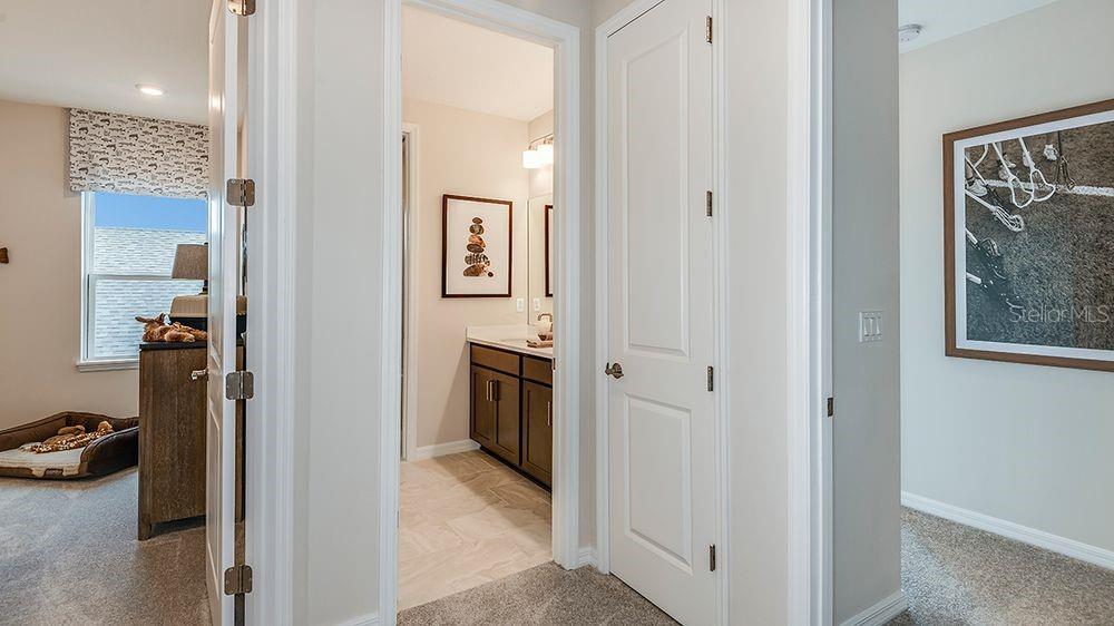 3444 LUMBER FALLS DR — photo 20
