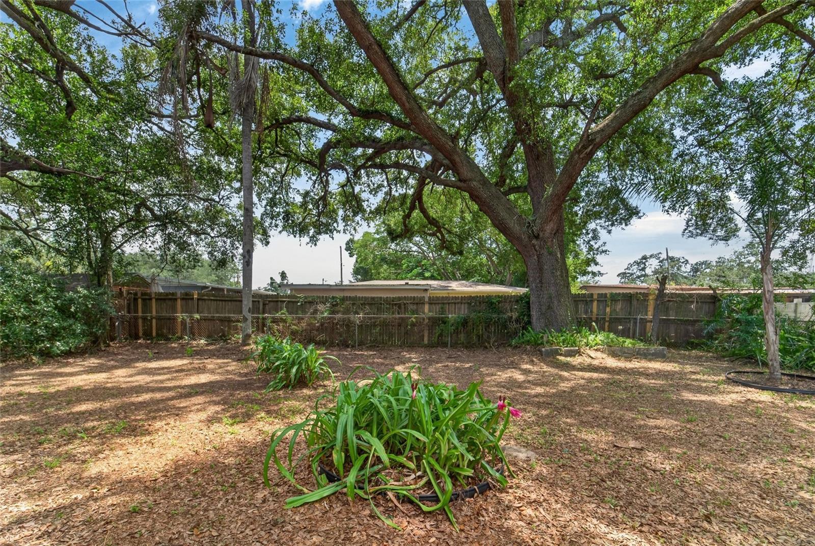 3009 E FERN ST — photo 40