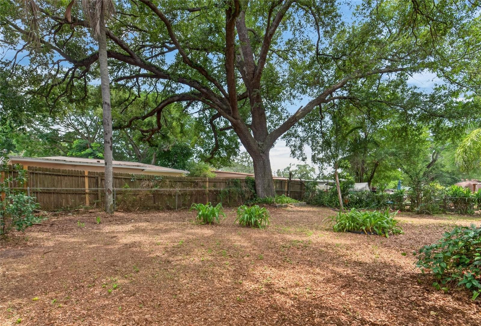 3009 E FERN ST — photo 39