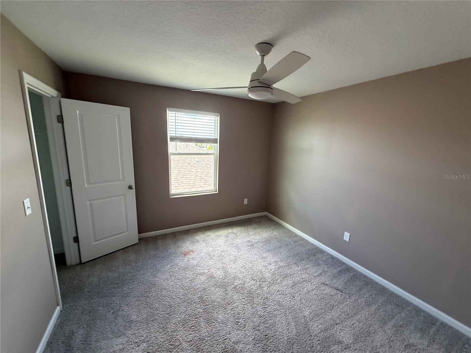 462 SPOTTED SLIPPER PL — photo 13