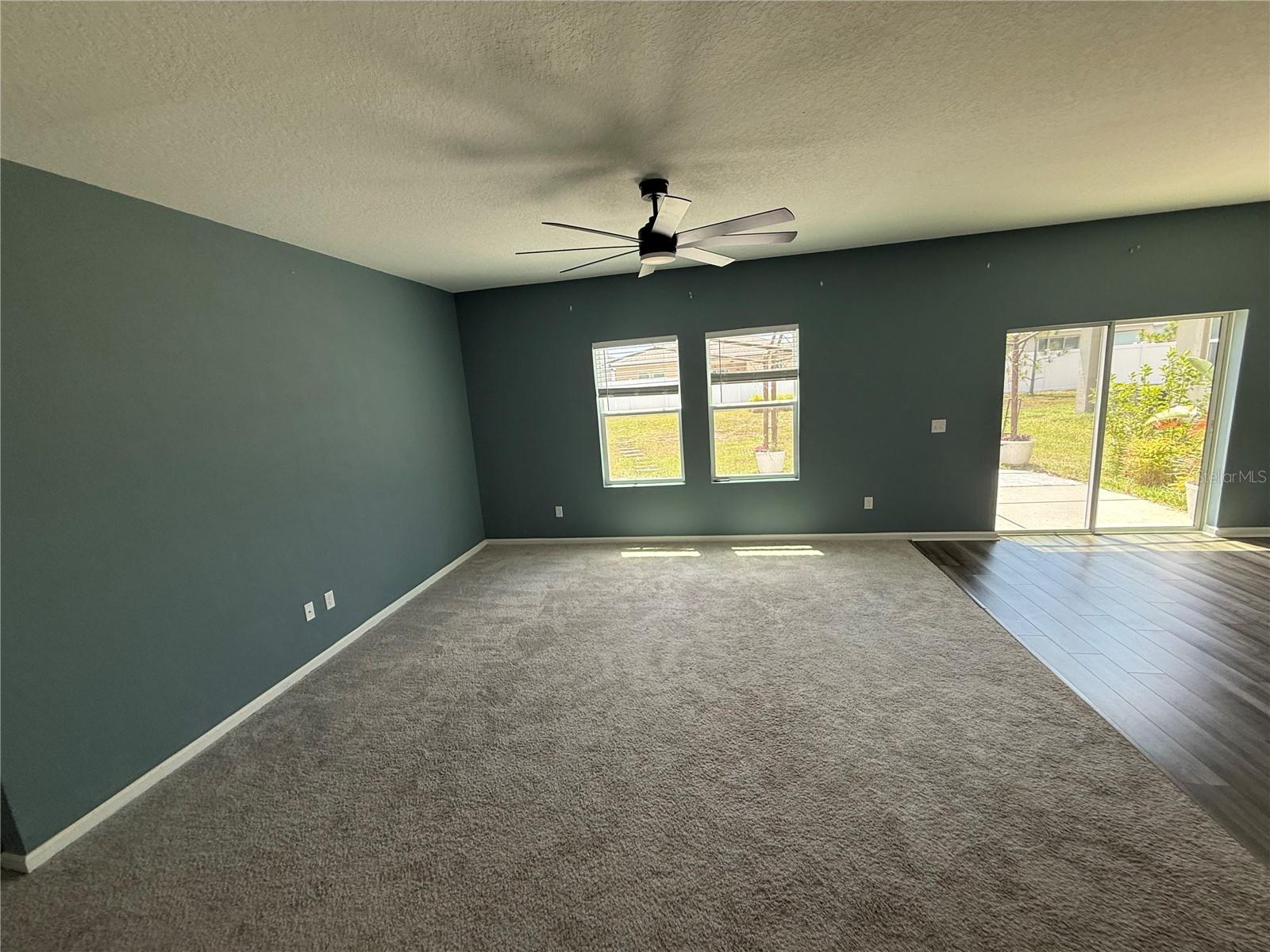 462 SPOTTED SLIPPER PL — photo 4
