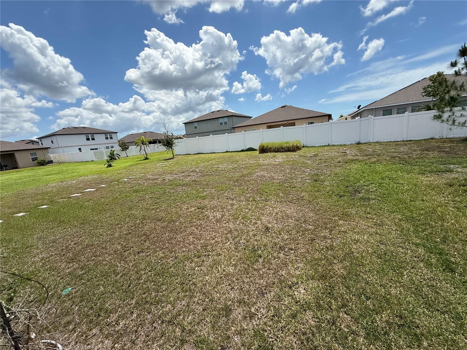 462 SPOTTED SLIPPER PL — photo 21