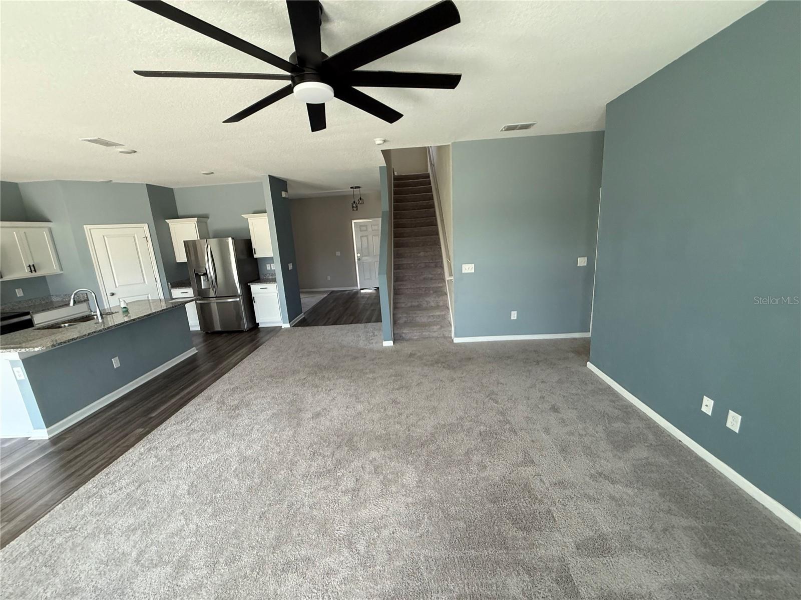 462 SPOTTED SLIPPER PL — photo 5