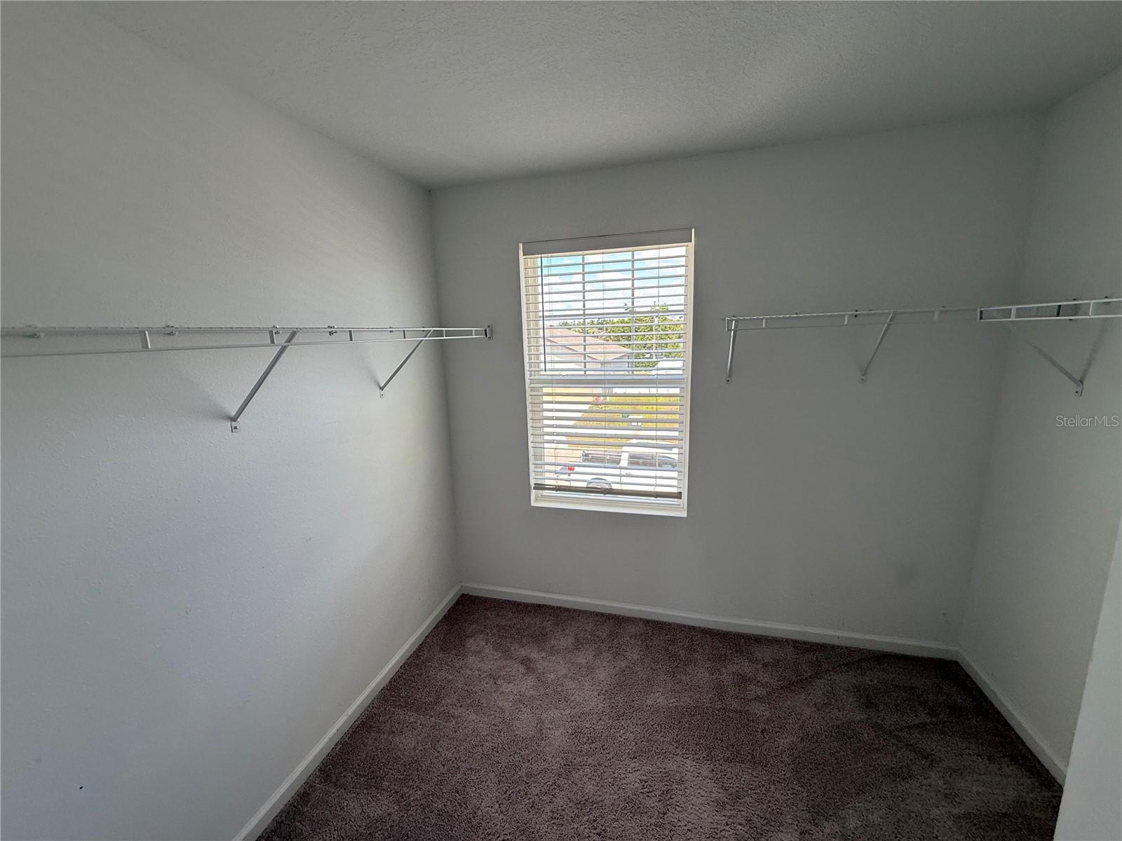 462 SPOTTED SLIPPER PL — photo 20