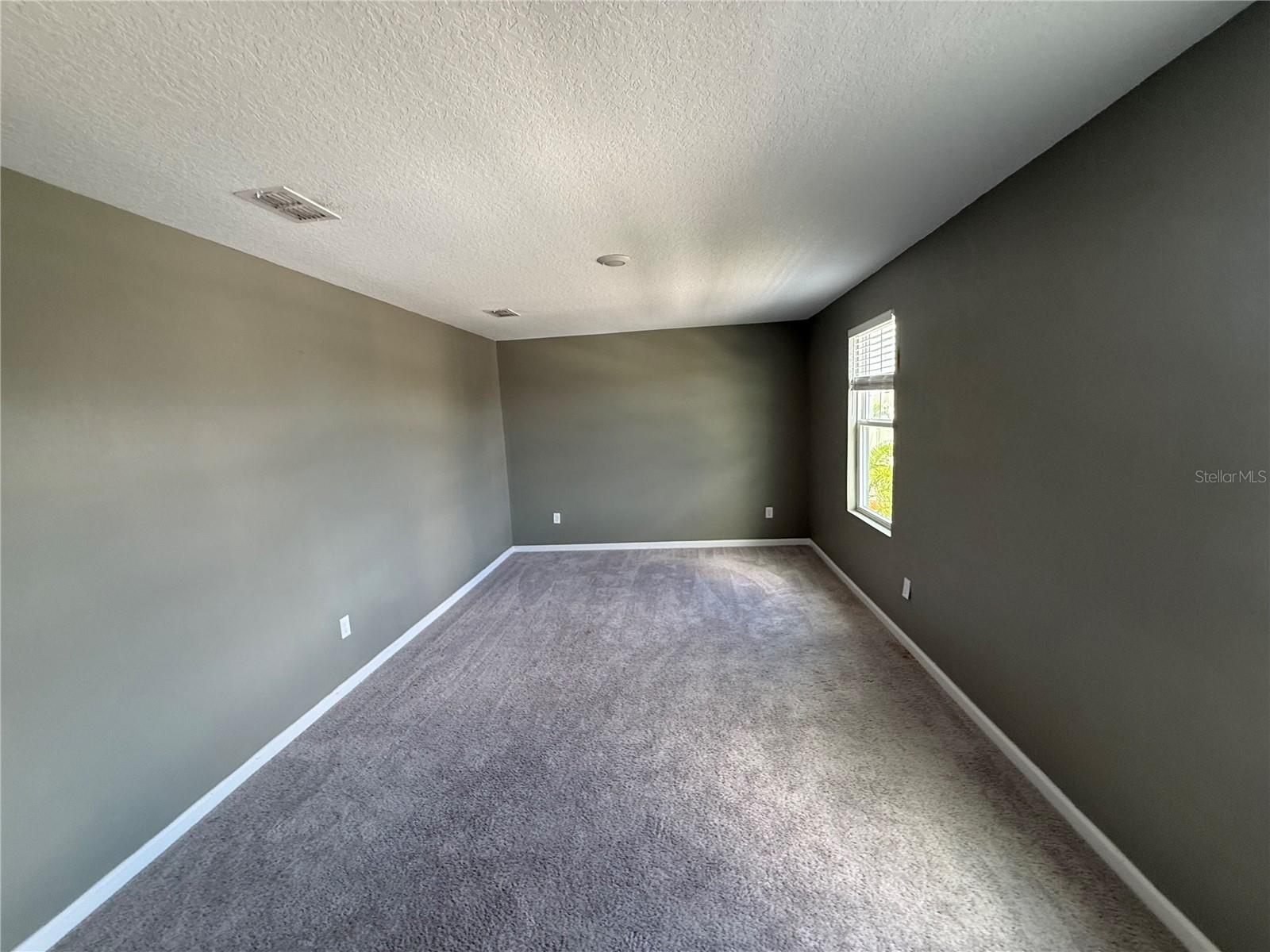 462 SPOTTED SLIPPER PL — photo 12
